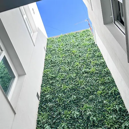 Lujo Centro 01